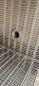 Heraeus Kendro UT6200 Trockenschrank mit ThermiconP Steuerung, 300°C