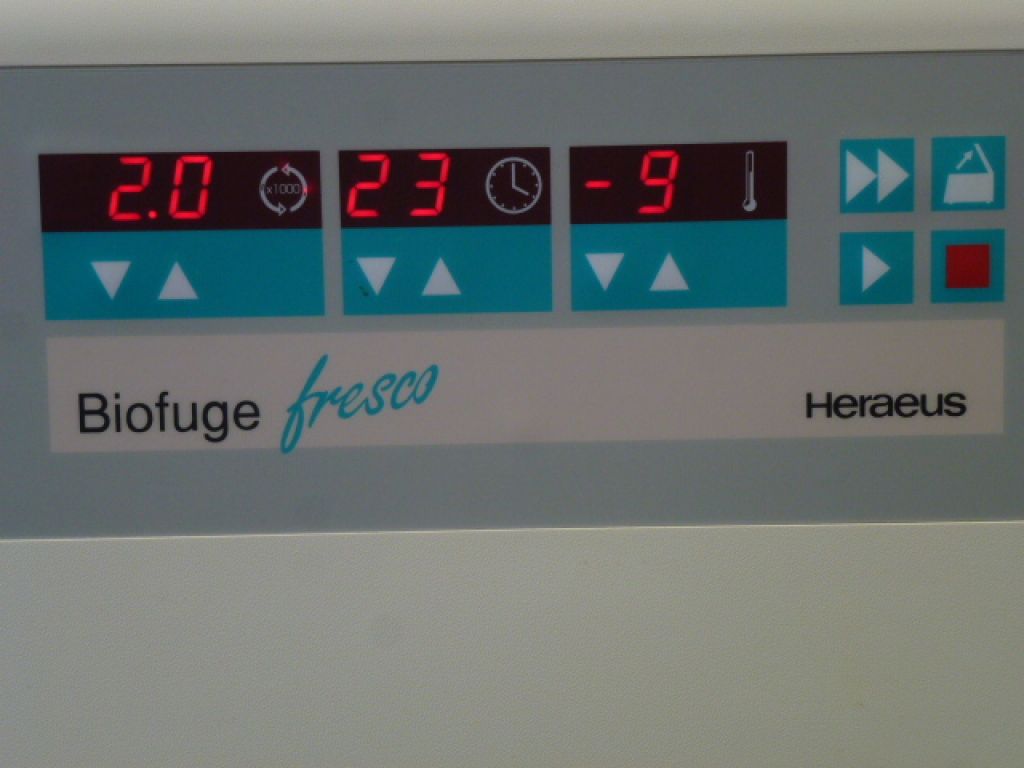 Heraeus Kühlzentrifuge Biofuge fresco mit 75003325 Rotor 24x4gr