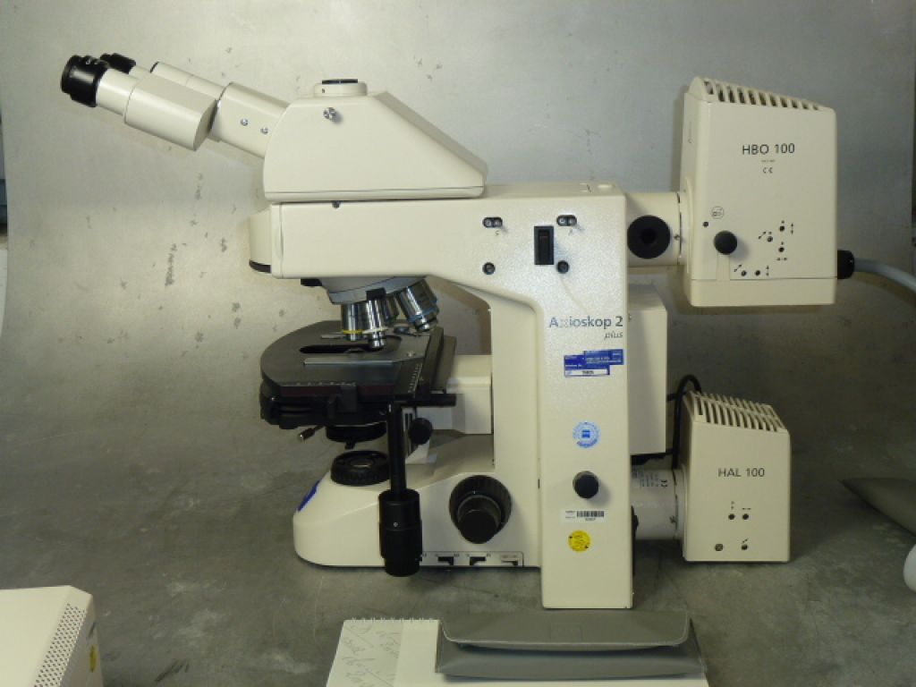 Zeiss Axioplan 2 plus with Fluorescence