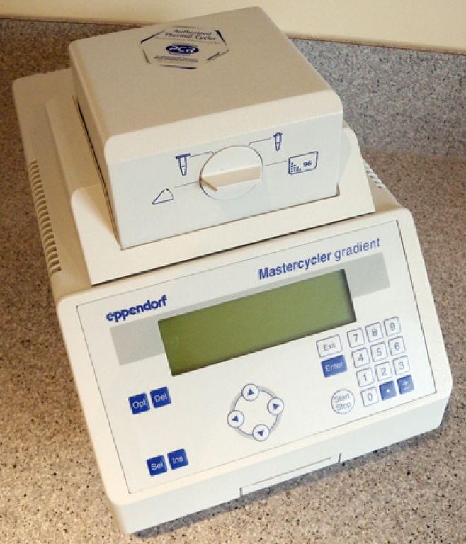 Eppendorf Mastercycler Gradient 5331