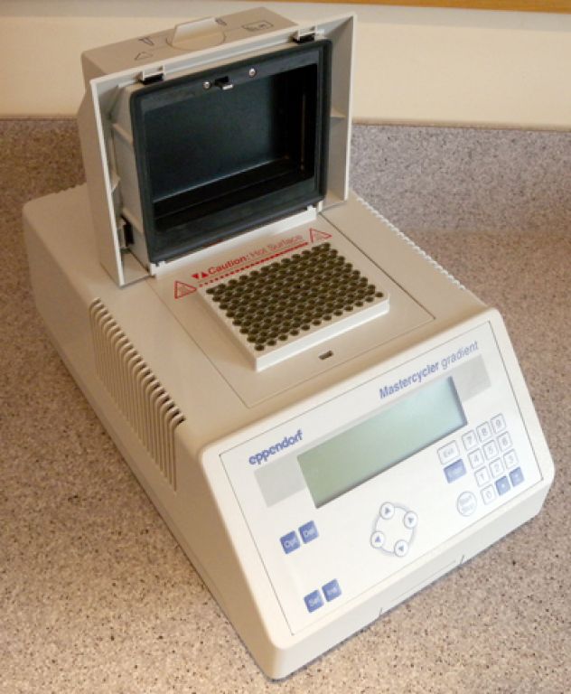 Eppendorf Mastercycler Gradient 5331