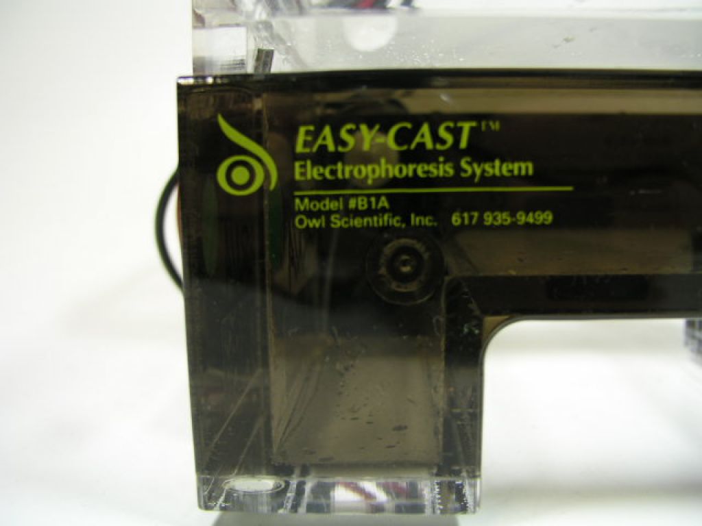 Thermo Scientific Owl B1A EasyCast Mini-Gel