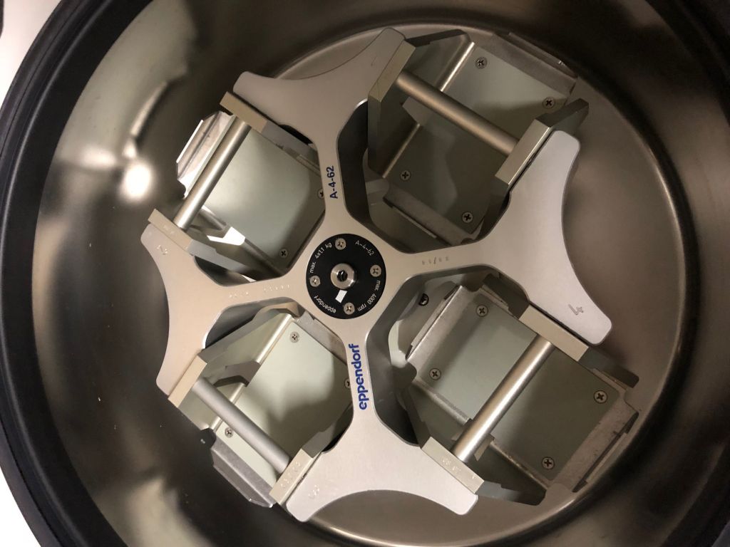 Eppendorf Kühlzentrifuge 5810R mit Rotor A-4-62