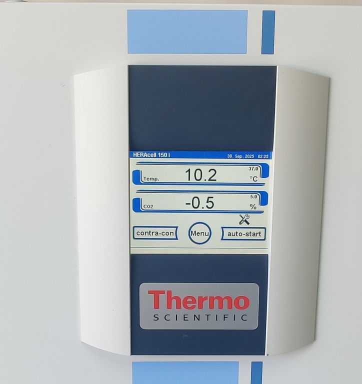Thermo Scientific HERAcell 150i CO² Inkubator Edelstahl
