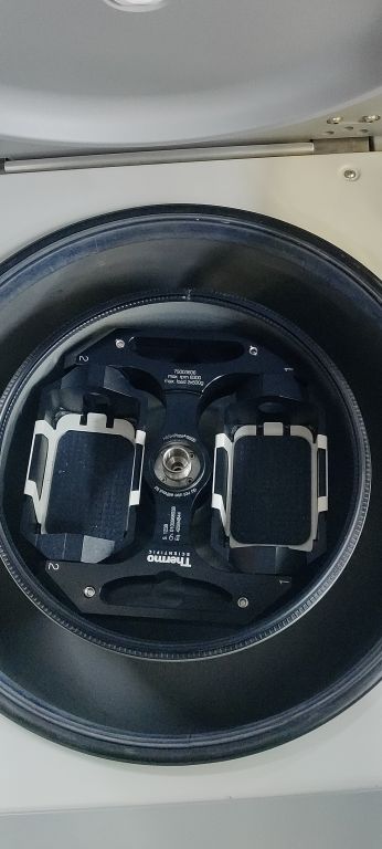 Thermo Scientific Multifuge X4R Pro