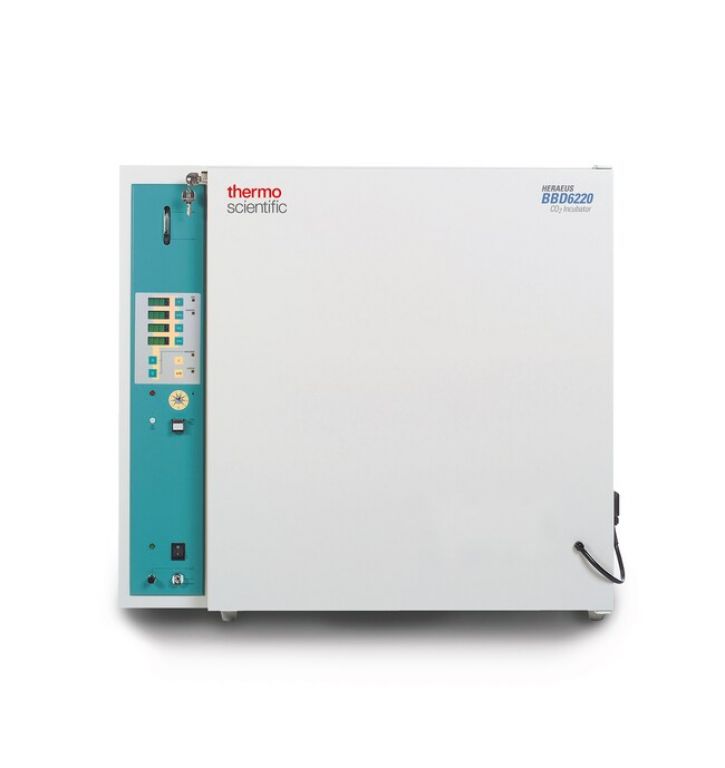 Heraeus BB6220 CO2 -Incubator, 220 l