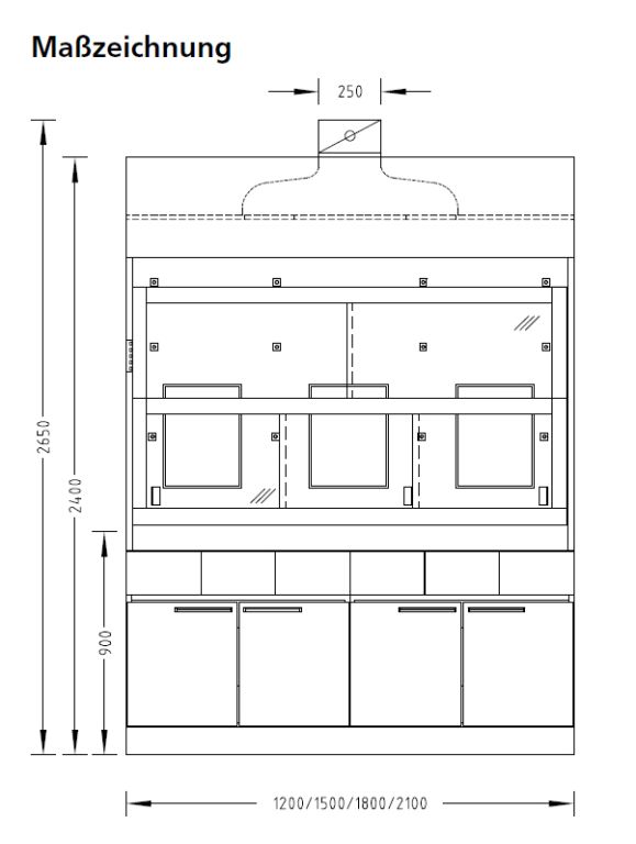 Waldner Scala Niedrigraum Tischabzug mit FWF90 und Säure/Laugenschrank aus 2023