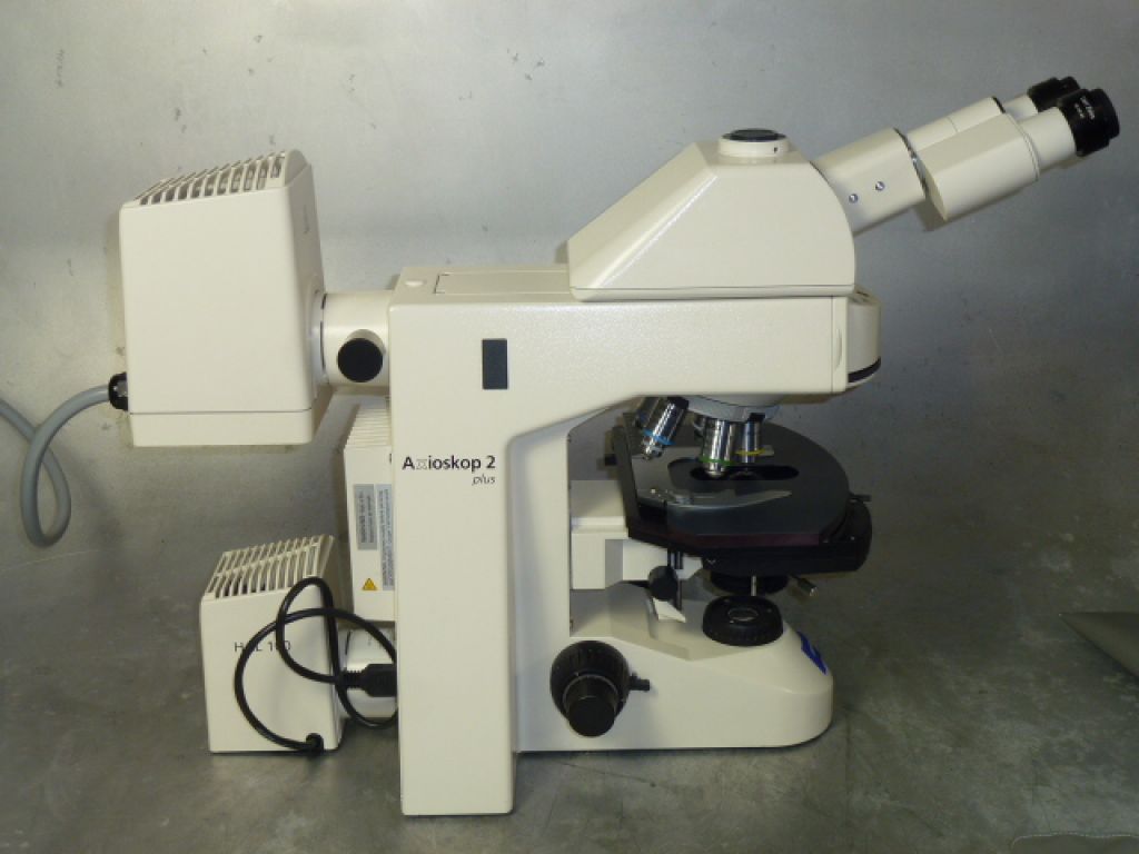 Zeiss Axioplan 2 plus with Fluorescence