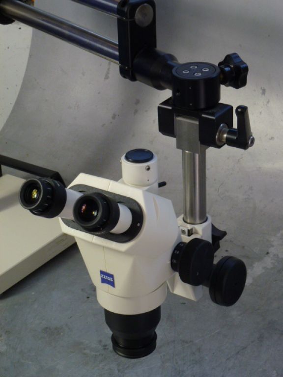 Zeiss Stemi 2000-C Stereomicroscope with Camera Adapter