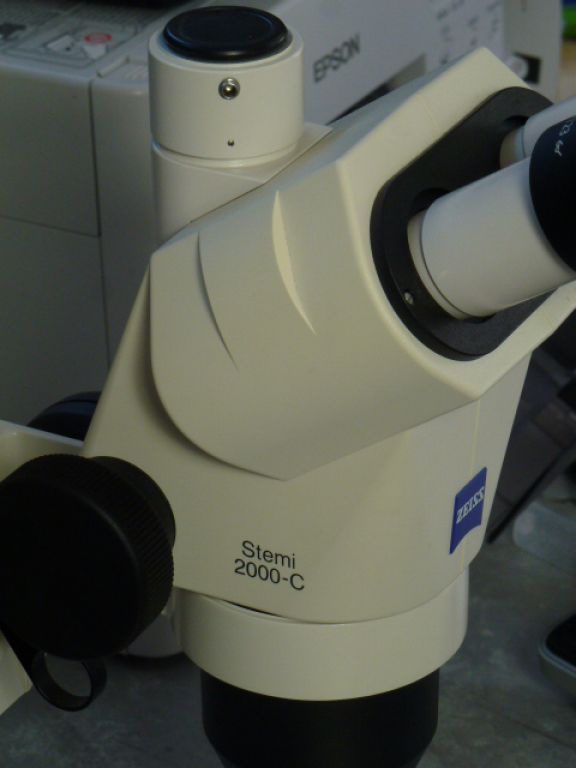 Zeiss Stemi 2000-C Stereomicroscope with Camera Adapter