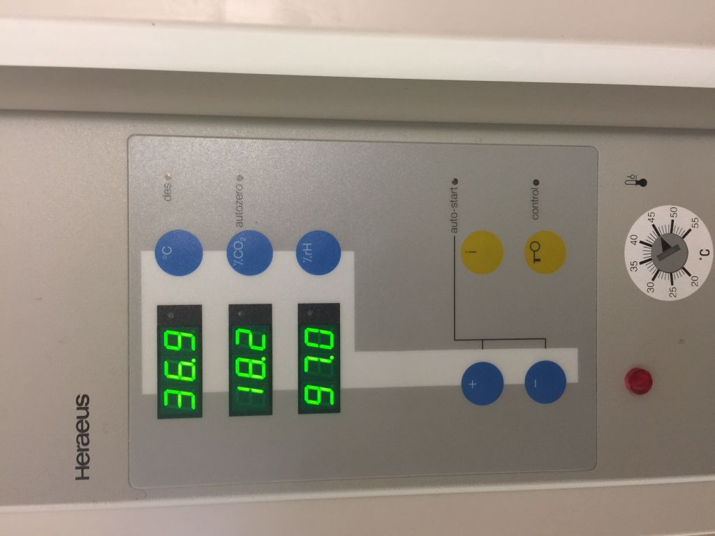 Thermo Cytoperm2 CO²  Incubator