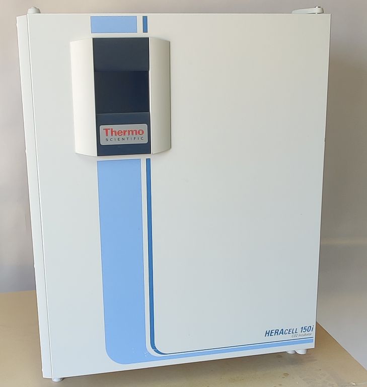 Thermo Scientific HERAcell 150i CO² Inkubator Edelstahl